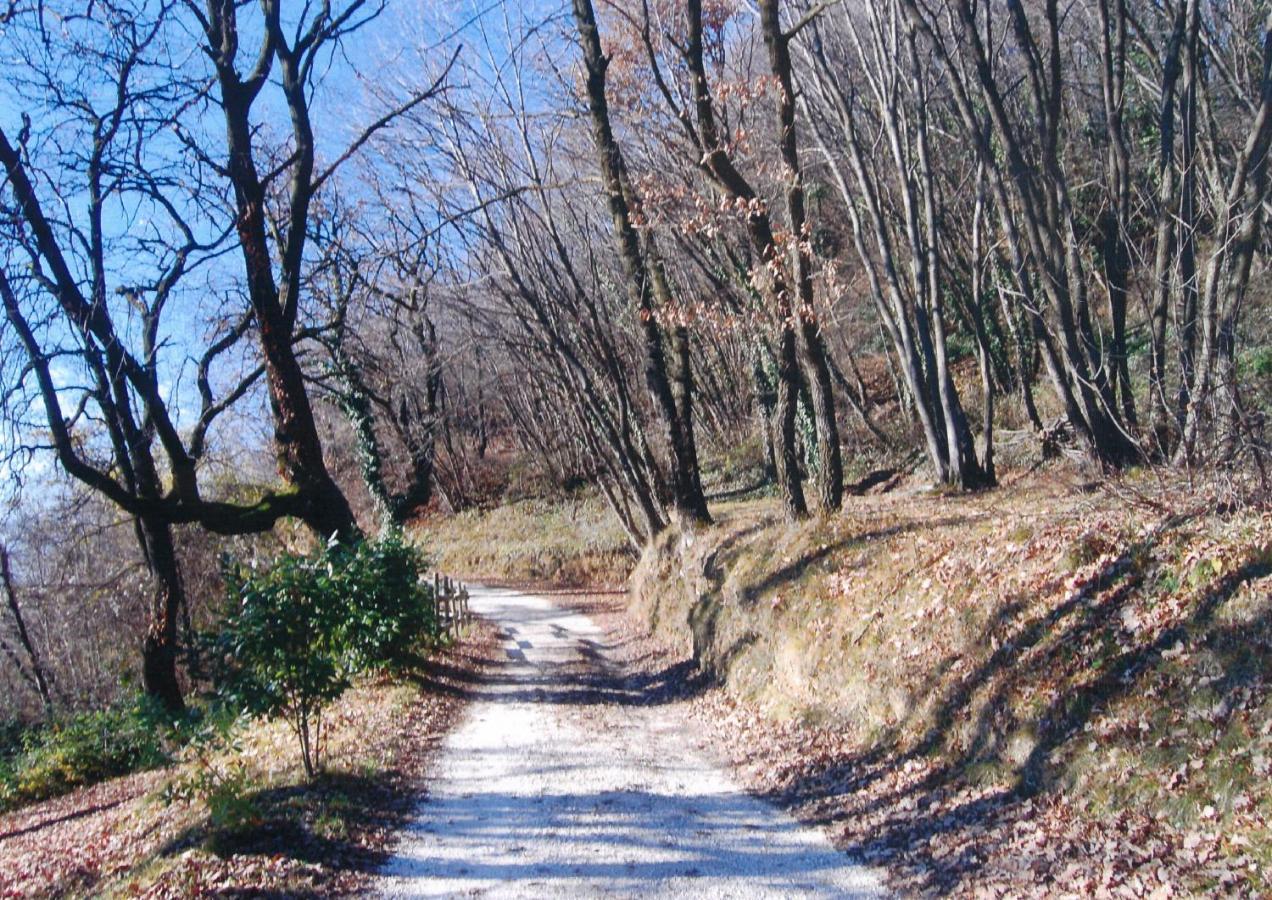La Fiocchina - Magic Place - Apartments & Studios In Garda Lake - Countryside Farmhouse, Inside The Middle Of The Lake Salo Luaran gambar